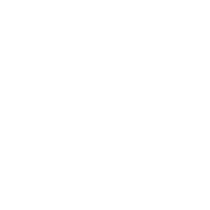 Icon Phone